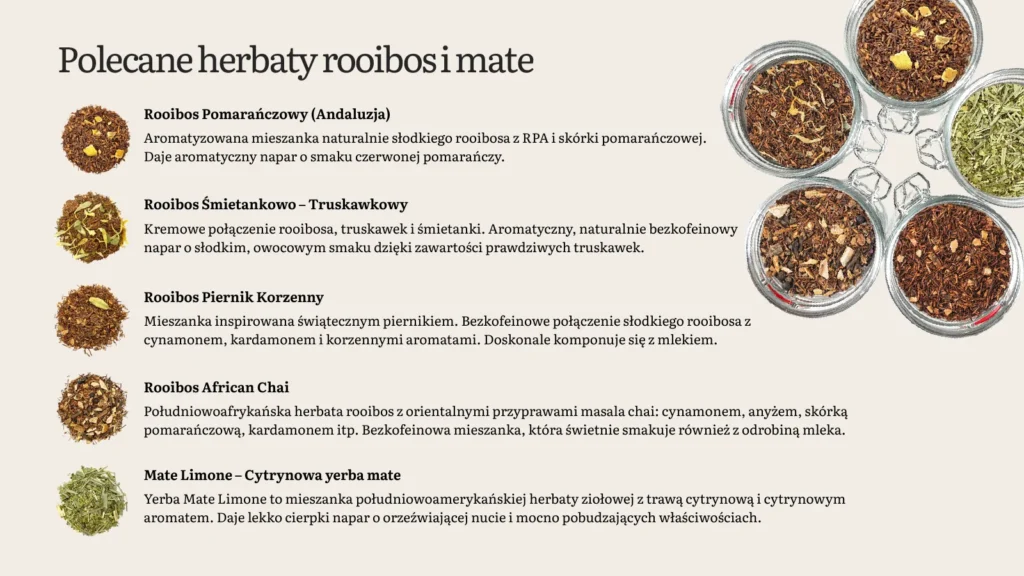 Polecane herbaty rooibos i mate Demmers dla gastronomii